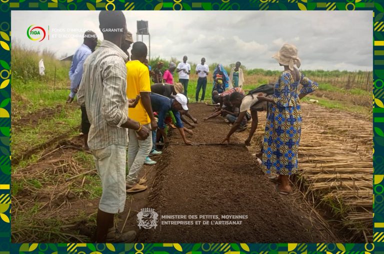 Renforcement des compétences Fruits & Légumes à Madingou : le FIGA soutient la chaîne de valeur agricole CAICE et le FIGA accompagnent la professionnalisation de la chaîne fruits & légumes